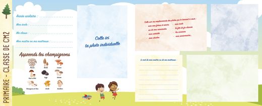Primaire · CM2 (1/2)